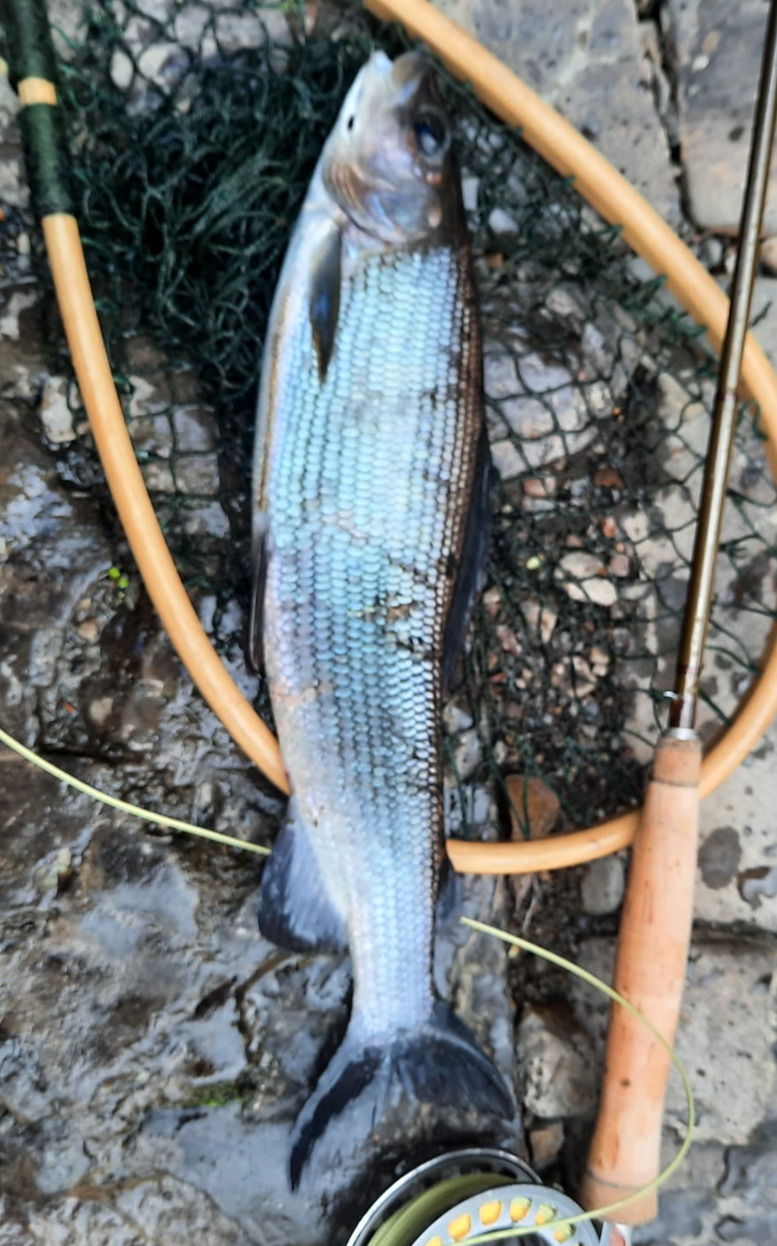 Fishing Image